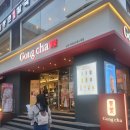 옥탑방 고양이 | 대학로 연극추천 옥탑방고양이 후기