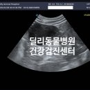 딜리동물병원 이미지