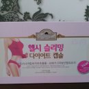 헬시 슬리밍 다이어트 캡슐 이미지