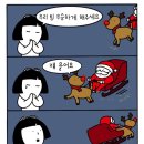 (주)키네마인 | 건기의 시작 그리고 나는 아머드 메기