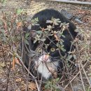 경기도 수원시 팔달구 세지로174번길 이미지