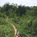 지축산 - 동래구 차밭골로20번길 39 | 지축산