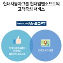 청송카 이미지