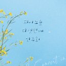 피아노숲 연주회 이미지