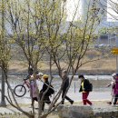 살곶이길 이미지