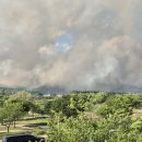 대구 북구 함지산 산불 대구IC 통제 이미지