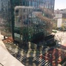 투썸플레이스 앞 횡단보도 이미지