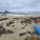 백사장해변 이미지