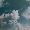 빵굽는곰 이미지