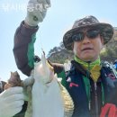 대호낚시 - 평택시 송월로26번길 5 | 대호낚시