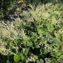 실로암농장 이미지