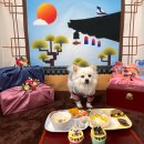 이재룡의 뭉개뭉개유치원 | 대구 동구 율하 애견유치원 피플앤퍼피 후기 (구미 위위, 대구 뭉개뭉개 비교)