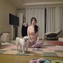 (온라인)요가 | 집에서 줌으로 듣는 요가 BYTT 온라인 요가 내돈내산 한달 후기