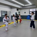 용인대 백호태권도 이미지