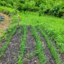 정구농장 이미지