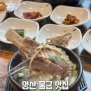 수연정 | 양산 물금역 맛집 수연정 방문 후기