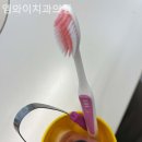 엠와이치과의원 네이버블로그