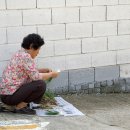 변산비치장 이미지