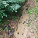 광천축산 이미지