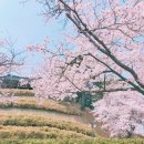 정환목장 | 동해 워크샵 후기