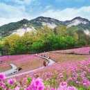 노원구청 불암산나비정원