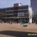 여의도초등학교 이미지