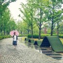 오후의 산책 이미지