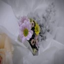 더연수장례식장
