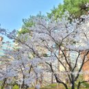 메이에르진 이미지