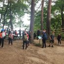 명품소나무길 이미지