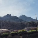 서산고향집 Daum카페