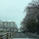 제일항외과의원 | 부산 치질 수술후기, 산후 치질, 임산부 치질, 치질 수술 당일 퇴원