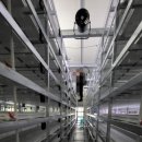 해평농장 이미지