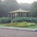 종일사랑방경로당 이미지