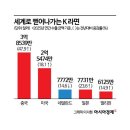 보폭 - 10224 | 보폭