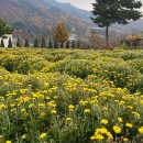 화수분농장 이미지