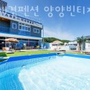 속초애견펜션양양빈티지하우스 이미지