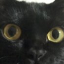 바나바스 이미지