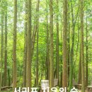 제주 중문동-4 헤드라인제주