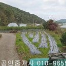 광주광역시 광산구 오산동 전680제곱,매1억9천,광주광역시토지매매,광산구토지매매 이미지