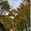 덕수 이미지