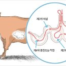 신선양대창 이미지