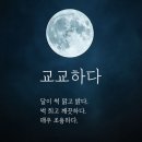 교교하다 티스토리