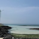 월정풍경 | 제주도 6월 여행 추천! 스노클링 명소 코난비치와 코난비치스노쿨링월정점 이용 후기