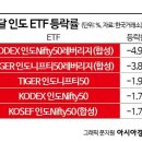 총선에 인도증시 출렁…개인은 인도 ETF 저가매수 &#39;성장성 베팅&#39; 이미지