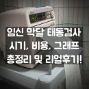 수축산 | 임신 34주 35주 막달 태동검사 시기 비용 | 태동 그래프 보는 법 및 배뭉침 자궁수축 리얼후기 공개!