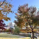 시립더샵센트럴시티어린이집 이미지