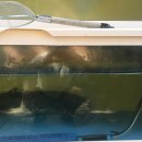 임진강나루 이미지