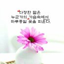 일다정