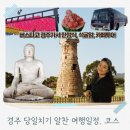 흥무로2(동) | 경주1Day여행 로컬추천 일정으로 여유롭게 경주 즐기기